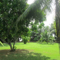 Raja Beach Hotel фото 2