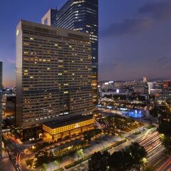Отель Grand Intercontinental Seoul Parnas балкон