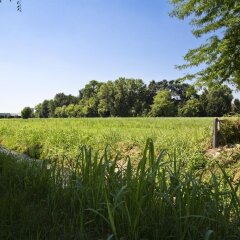 Отель Agriturismo La Madoneta Сан-Джорджо-ин-Боско фото 8
