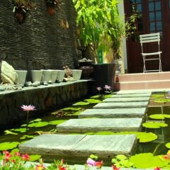 Отель Green Grass Homestay фото 2