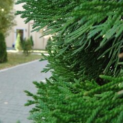 Гостиница Адмирал Украина, Одесса - 8 отзывов об отеле, цены и фото номеров - забронировать гостиницу Адмирал онлайн фото 11
