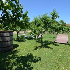 Отель Holiday Home, 800 Metres From the see Гаттео-а-Маре фото 28