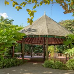 Отель Tropical Escape Villa - 3 Bedroom Ямайка, Монастырь - отзывы, цены и фото номеров - забронировать отель Tropical Escape Villa - 3 Bedroom онлайн