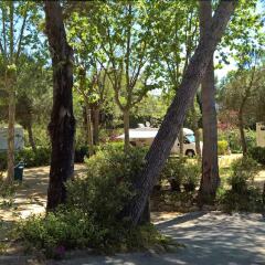 Отель Camping Santa Elena Ciutat Испания, Льорет-де-Мар - отзывы, цены и фото номеров - забронировать отель Camping Santa Elena Ciutat онлайн детские мероприятия фото 2