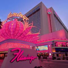 Flamingo Las Vegas - Hotel & Casino развлечения