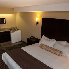 Отель Best Western Maple Ridge Hotel Канада, Мэйпл-Ридж - отзывы, цены и фото номеров - забронировать отель Best Western Maple Ridge Hotel онлайн удобства в номере фото 2