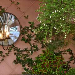 The Beverly Hills Hotel фото 10