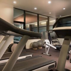 Adina Apartment Hotel Frankfurt Neue Oper фитнесс-зал