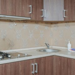 Гостиница Апарт-отель «Горная резиденция» в Красной Поляне 6 отзывов об отеле, цены и фото номеров - забронировать гостиницу Апарт-отель «Горная резиденция» онлайн Красная Поляна фото 2