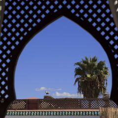 Отель Riad Dar Alfarah Марокко, Марракеш - отзывы, цены и фото номеров - забронировать отель Riad Dar Alfarah онлайн фото 2