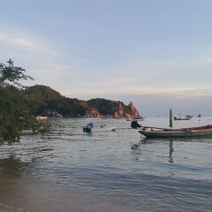 Отель Greenery Resort Koh Tao фото 3