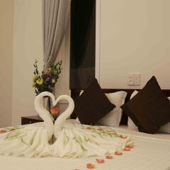 Basil Homestay and Hostel комната для гостей фото 2