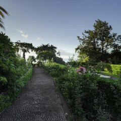 Отель Quinta das Vistas Palace Gardens Португалия, Фуншал - отзывы, цены и фото номеров - забронировать отель Quinta das Vistas Palace Gardens онлайн приотельная территория фото 2