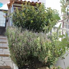 Ericeira Chill Hill Hostel & Private Rooms - Peach Garden Мафра фото 6