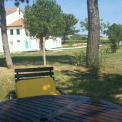 Отель Agriturismo Azienda Agricola Alfieri Озимо фото 3