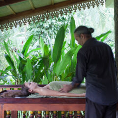 Отель Plantation Villa Ayurveda Yoga Resort спа