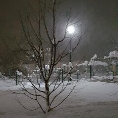Отель Bansko Castle Lodge Банско приотельная территория