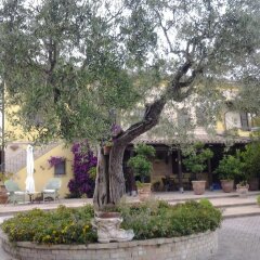 Отель B&B Il Giardino Dei Limoni Монтекассино фото 2