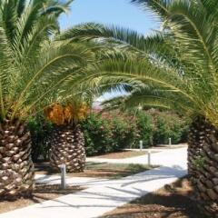 Baia Sangiorgio Hotel Resort Бари фото 8