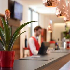 Отель Amedia Plaza Dresden Германия, Дрезден - 2 отзыва об отеле, цены и фото номеров - забронировать отель Amedia Plaza Dresden онлайн фото 10
