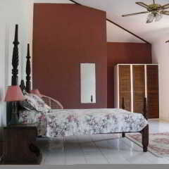 Отель Tamarind Great House Каслтон удобства в номере фото 2