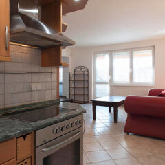 Апартаменты Every Day Apartment Prague 5 в номере