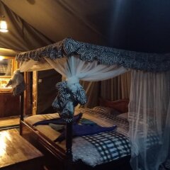 Mara Duma Luxury Camp in Keekorok, Kenya from 366$, photos, reviews - zenhotels.com photo 4