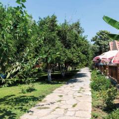 Nova Beach Турция, Сиде - отзывы, цены и фото номеров - забронировать отель Nova Beach - All Inclusive онлайн фото 12