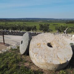 Отель Masseria Amastuola Wine Resort Криспьяно спортивное сооружение