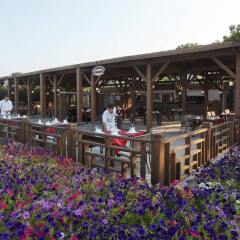 Отель Crystal Flora Beach Resort – All Inclusive