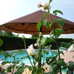 Отель Agriturismo Ca' Marcello Италия, Мира - отзывы, цены и фото номеров - забронировать отель Agriturismo Ca' Marcello онлайн бассейн
