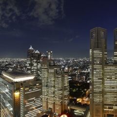 Keio Plaza Hotel Tokyo Premier Grand Токио спортивное сооружение