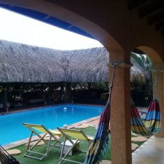 Bouganville B&B in Willemstad, Curacao from 89$, photos, reviews - zenhotels.com pool photo 2
