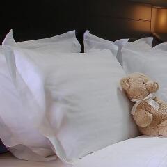 Auris Inn Al Muhanna Hotel детские мероприятия