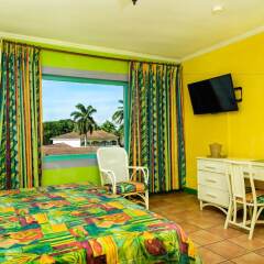 Doctors Cave Beach Hotel удобства в номере фото 2