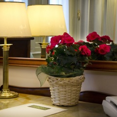 Continental Genova Hotel Генуя интерьер отеля фото 3