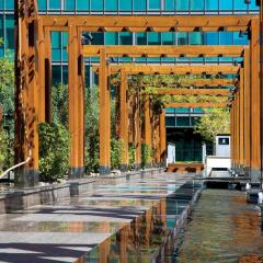 Отель The Ritz-Carlton, Dubai International Financial Centre ОАЭ, Дубай - 8 отзывов об отеле, цены и фото номеров - забронировать отель The Ritz-Carlton, Dubai International Financial Centre онлайн развлечения