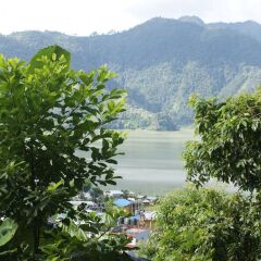 Отель Peace Guest House Pokhara Непал, Покхара - отзывы, цены и фото номеров - забронировать отель Peace Guest House Pokhara онлайн приотельная территория фото 2