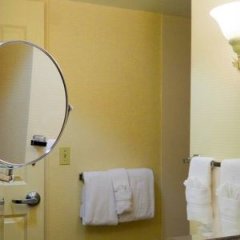 Отель Holiday Inn Chantilly-Dulles Expo Center, an IHG Hotel США, Чантилли - отзывы, цены и фото номеров - забронировать отель Holiday Inn Chantilly-Dulles Expo Center, an IHG Hotel онлайн ванная