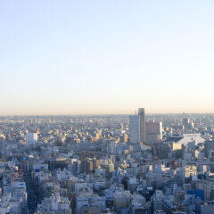 Отель Mandarin Oriental Tokyo Токио балкон