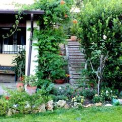 Отель Molinello Country House Бернальда фото 11