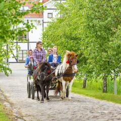 Отель Narie Resort & SPA с домашними животными
