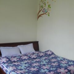 Отель Thu Khoa Guesthouse Далат комната для гостей фото 4