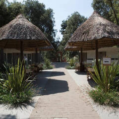 Отель Paradú Resort Toscana Кастаньето-Кардуччи фото 3