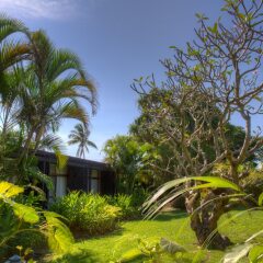 Отель Tanoa International Hotel Фиджи, Вити-Леву - отзывы, цены и фото номеров - забронировать отель Tanoa International Hotel онлайн фото 8