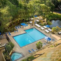 Отель Hilton Bellevue бассейн