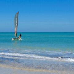 Отель Vincci Djerba Resort Тунис, Мидун - отзывы, цены и фото номеров - забронировать отель Vincci Djerba Resort онлайн пляж фото 2