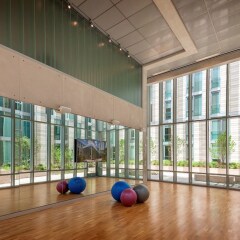 Отель Bluebird Suites in Downtown DC США, Вашингтон - отзывы, цены и фото номеров - забронировать отель Bluebird Suites in Downtown DC онлайн фитнесс-зал