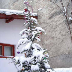 Отель Davidovi Relax Guest Rooms Болгария, Варна - отзывы, цены и фото номеров - забронировать отель Davidovi Relax Guest Rooms онлайн фото 4