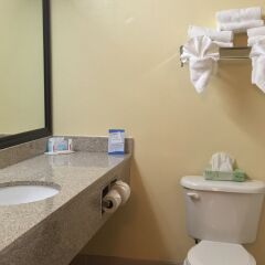 Отель Baymont Inn and Suites Fort Myers ванная фото 2